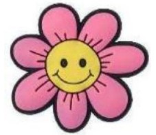 Shoe Charm Flower Pink