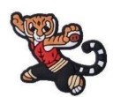 Shoe Charm Tigres