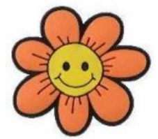 Show Charm Flower Orange