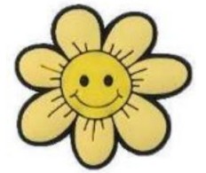 Show Charm Flower Yellow
