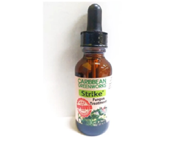 Strike Fungus Treatment